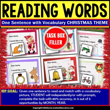 Reading Nouns | Santa Letter for Christmas Task Box Filler for Special Education